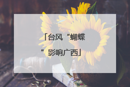 台风“蝴蝶”影响广西