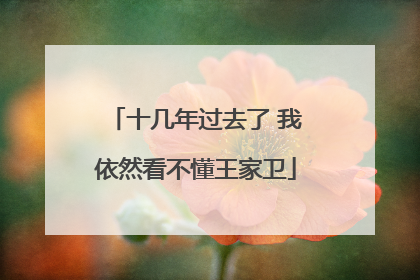 十几年过去了 我依然看不懂王家卫