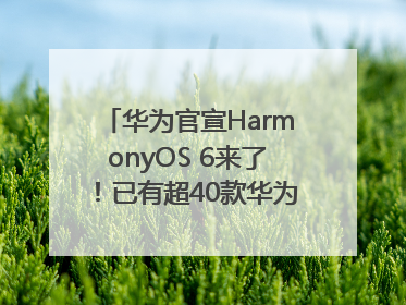 华为官宣HarmonyOS 6来了！已有超40款华为终端搭载鸿蒙5，开发者突破800万