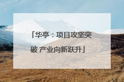 华亭：项目攻坚突破 产业向新跃升