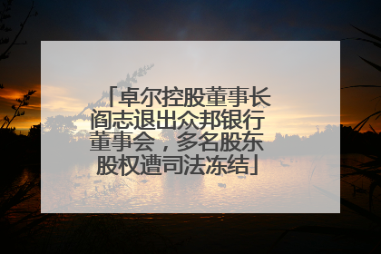 卓尔控股董事长阎志退出众邦银行董事会，多名股东股权遭司法冻结