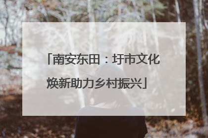 南安东田：圩市文化焕新助力乡村振兴