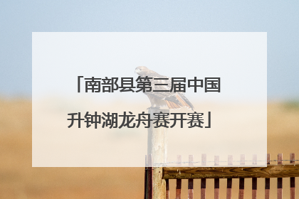 南部县第三届中国升钟湖龙舟赛开赛