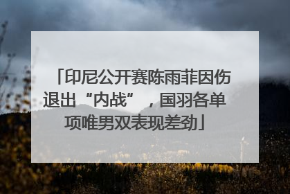 印尼公开赛陈雨菲因伤退出“内战”，国羽各单项唯男双表现差劲