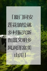 厦门同安莲花镇绘就乡村振兴新图景文明乡风润泽富美山川