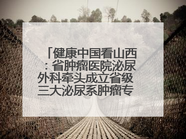 健康中国看山西:省肿瘤医院泌尿外科牵头成立省级三大泌尿系肿瘤专家委员会