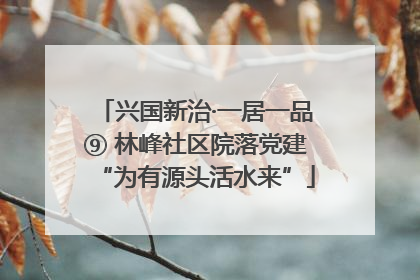 兴国新治·一居一品⑨ 林峰社区院落党建“为有源头活水来”