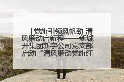 党旗引领风帆劲 清风廉动启新程——新城开集团新宇公司党支部启动“清风廉动党旗红”系列活动