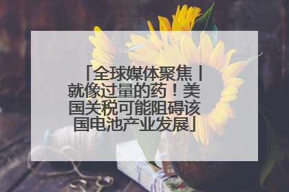 全球媒体聚焦丨就像过量的药！美国关税可能阻碍该国电池产业发展