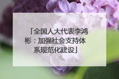 全国人大代表李鸿彬：加强社会支持体系规范化建设