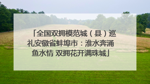 全国双拥模范城（县）巡礼安徽省蚌埠市：淮水奔涌鱼水情 双拥花开满珠城