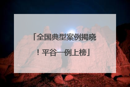 全国典型案例揭晓！平谷一例上榜