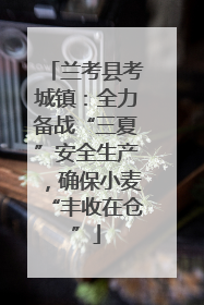 兰考县考城镇：全力备战“三夏”安全生产，确保小麦“丰收在仓”