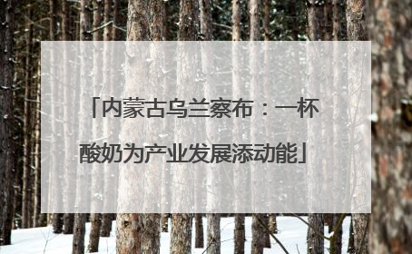 内蒙古乌兰察布：一杯酸奶为产业发展添动能