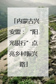内蒙古兴安盟：“阳光银行”点亮乡村振兴路