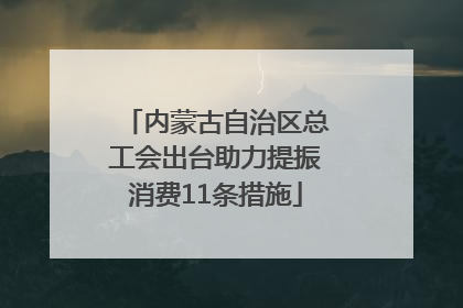内蒙古自治区总工会出台助力提振消费11条措施