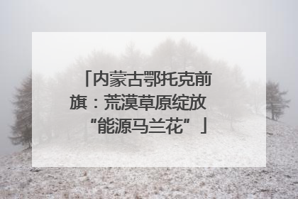 内蒙古鄂托克前旗：荒漠草原绽放“能源马兰花”