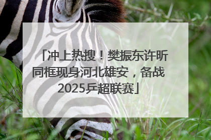 冲上热搜！樊振东许昕同框现身河北雄安，备战2025乒超联赛