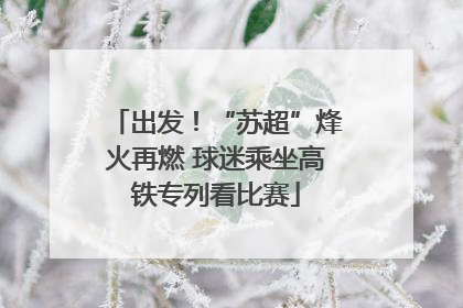 出发！“苏超”烽火再燃 球迷乘坐高铁专列看比赛