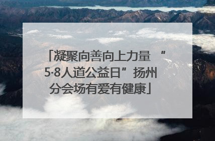 凝聚向善向上力量 “5·8人道公益日”扬州分会场有爱有健康