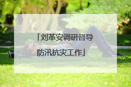 刘革安调研督导防汛抗灾工作