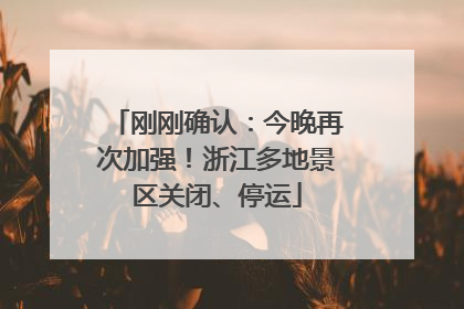 刚刚确认：今晚再次加强！浙江多地景区关闭、停运