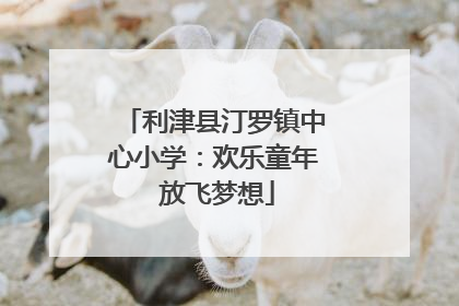 利津县汀罗镇中心小学：欢乐童年 放飞梦想