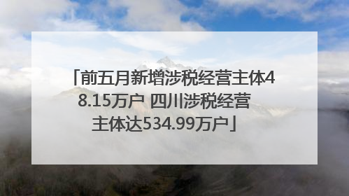 前五月新增涉税经营主体48.15万户 四川涉税经营主体达534.99万户