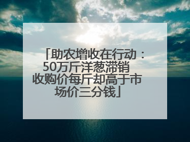 助农增收在行动：50万斤洋葱滞销 收购价每斤却高于市场价三分钱