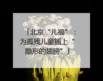 北京“儿福”：为孤残儿童插上“隐形的翅膀”