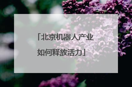 北京机器人产业如何释放活力