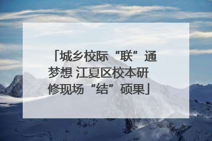 城乡校际“联”通梦想 江夏区校本研修现场“结”硕果
