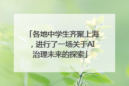 各地中学生齐聚上海，进行了一场关于AI治理未来的探索