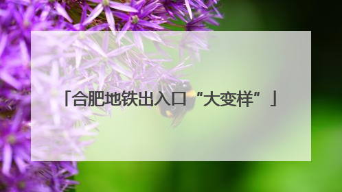 合肥地铁出入口“大变样”