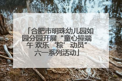 合肥市明珠幼儿园如园分园开展“童心撞端午 欢乐‘粽’动员”六一系列活动