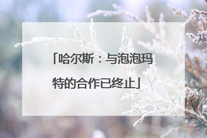 哈尔斯：与泡泡玛特的合作已终止