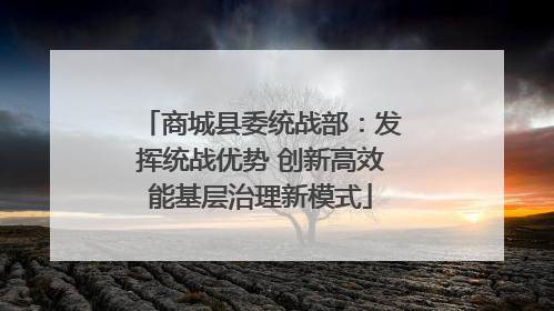商城县委统战部：发挥统战优势 创新高效能基层治理新模式