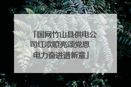 国网竹山县供电公司红歌嘹亮颂党恩 电力奋进谱新章