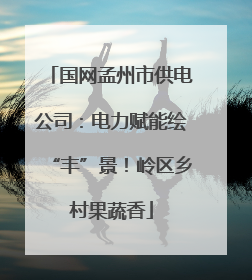 国网孟州市供电公司：电力赋能绘“丰”景！岭区乡村果蔬香