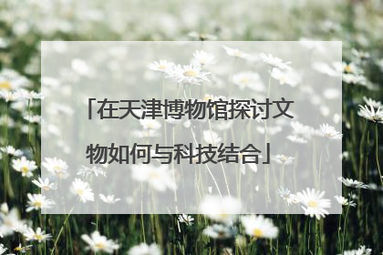 在天津博物馆探讨文物如何与科技结合