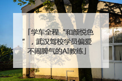 学车全程“和颜悦色”，武汉驾校学员偏爱不闹脾气的AI教练