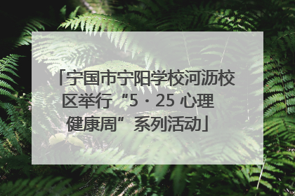 宁国市宁阳学校河沥校区举行“5・25 心理健康周”系列活动