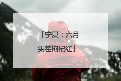 宁夏：六月头茬枸杞红