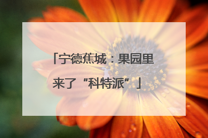 宁德蕉城：果园里来了“科特派”