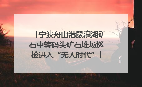 宁波舟山港鼠浪湖矿石中转码头矿石堆场巡检进入“无人时代”