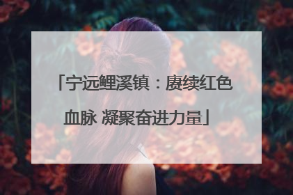 宁远鲤溪镇：赓续红色血脉 凝聚奋进力量