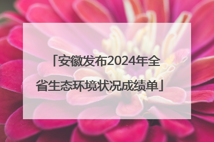 安徽发布2024年全省生态环境状况成绩单