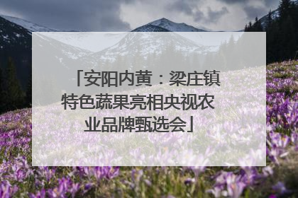 安阳内黄：梁庄镇特色蔬果亮相央视农业品牌甄选会