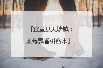 宜章县天塘镇：蓝莓飘香引客来