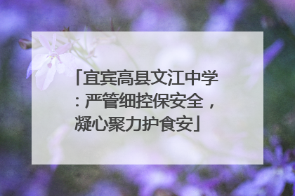 宜宾高县文江中学：严管细控保安全，凝心聚力护食安